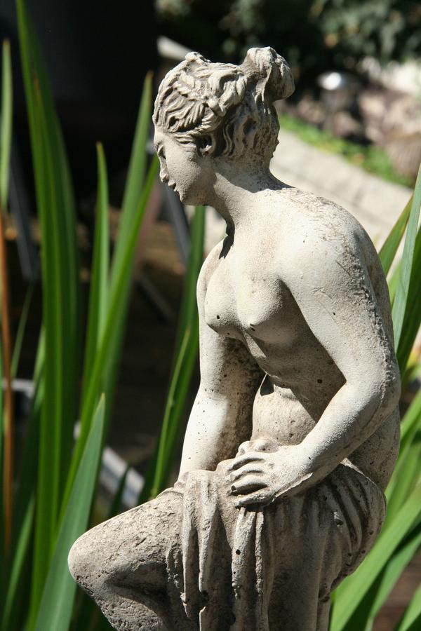 B&B Afrodite Zonnebeke Buitenkant foto